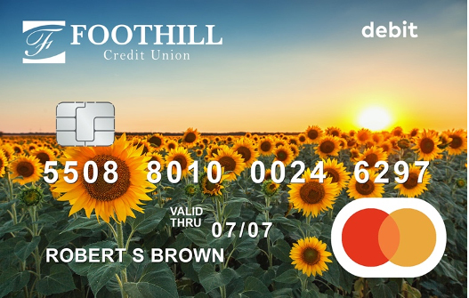 Debit3.jpg